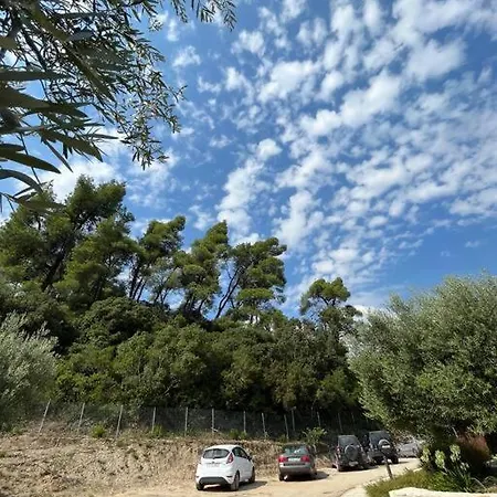 Paralia Homes Cheerful 2 Bedroom With Pool, Unit #1