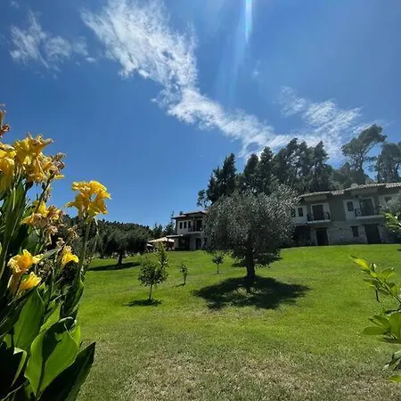 Paralia Homes Cheerful 2 Bedroom With Pool, Unit #1 Villa *