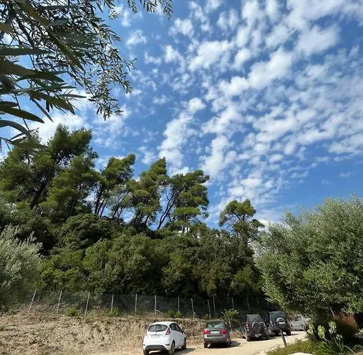Paralia Homes Cheerful 2 Bedroom With Pool, Unit #1