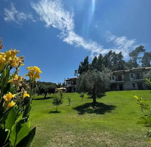 Paralia Homes Cheerful 2 Bedroom With Pool, Unit #1 Villa *