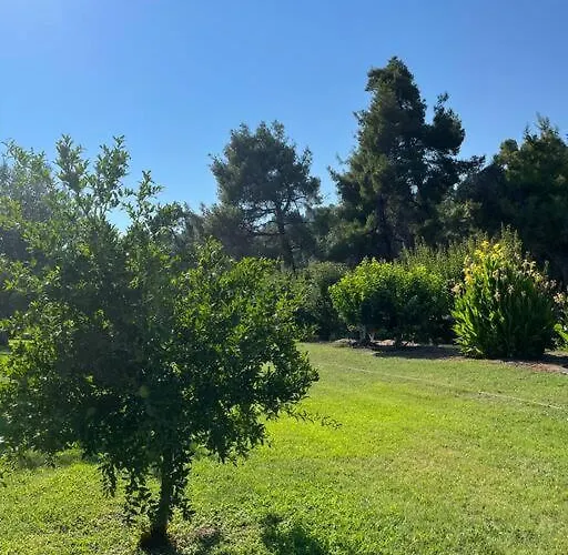 Villa Paralia Homes Cheerful 2 Bedroom With Pool, Unit #1 *