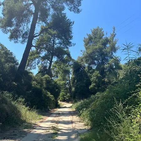 Paralia Homes Cheerful 2 Bedroom With Pool, Unit #1