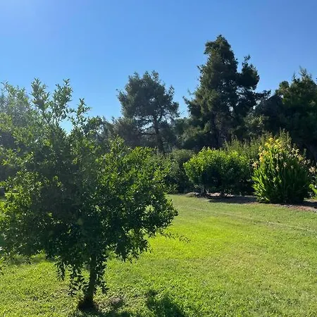 Villa Paralia Homes Cheerful 2 Bedroom With Pool, Unit #1 *