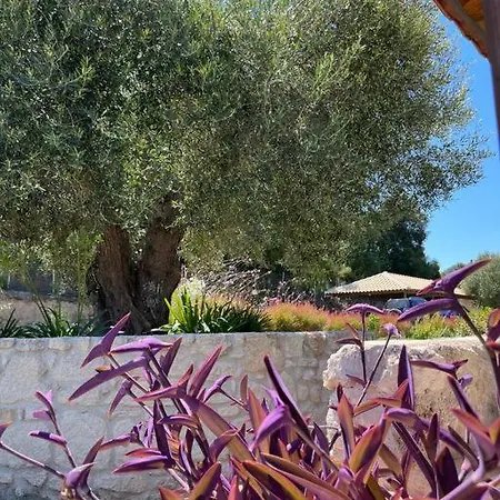 Paralia Homes Cheerful 2 Bedroom With Pool, Unit #1