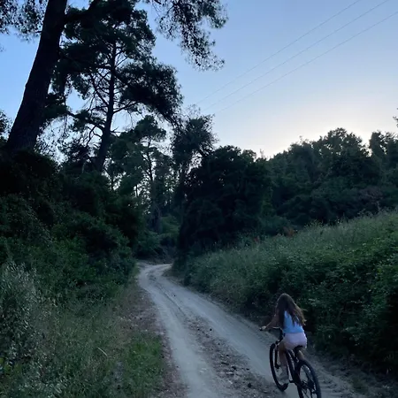 Paralia Homes Cheerful 2 Bedroom With Pool, Unit #1 فيلة كريوبيجي